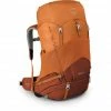 Osprey Ace 38 Backpack orange sunset