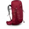 Osprey Talon 33 Backpack Men cosmic red -Trekking Backpacks Shop osprey talon 33 backpack men cosmic red 1